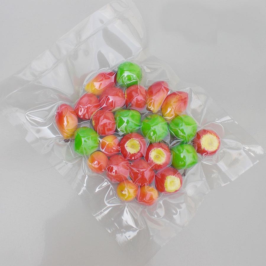 vacuum bag vacuum bag
