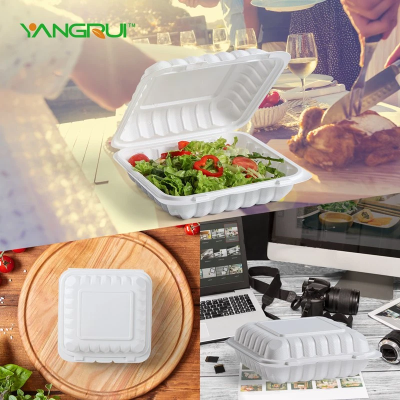 product-800-800
