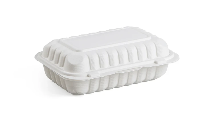 disposable lunch boxes