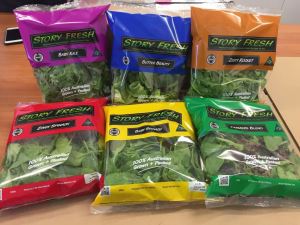 Tas Plastik Sayuran Segar Bio-friendly Anti-kabut