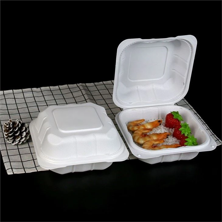 Sandwich Hamburger Isi Mineral 6x6 Inch Berengsel Mengambil Wadah Untuk Pergi Kotak