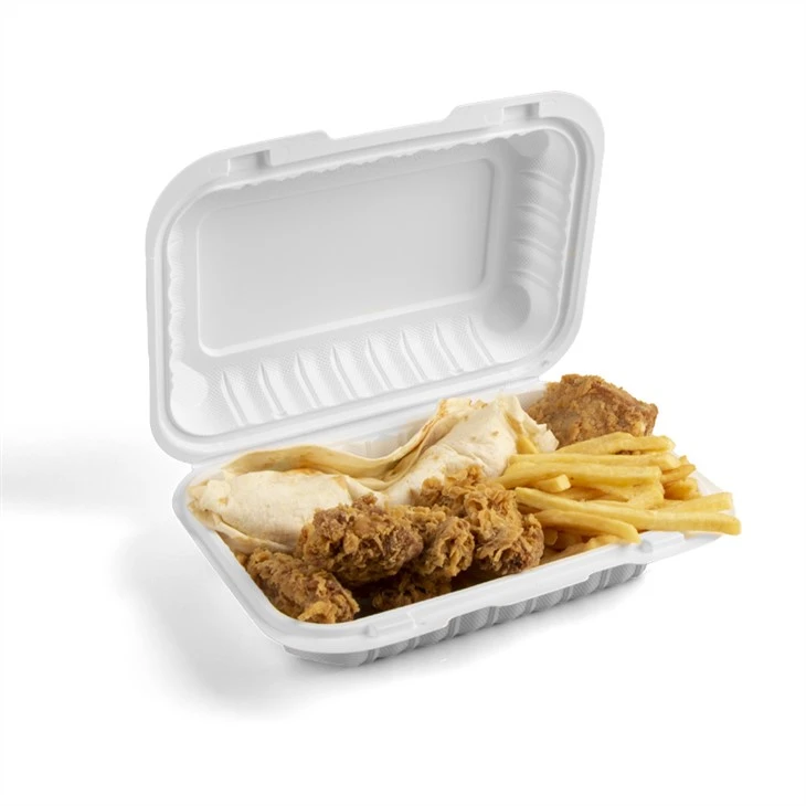 Wadah Makanan Biodegradable