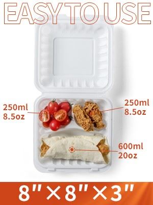 Disposable Biodegradable Food Container