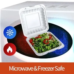 Kotak Makan Siang Ramah Lingkungan Sekali Pakai