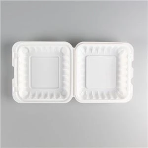 Kotak Makan Siang Plastik