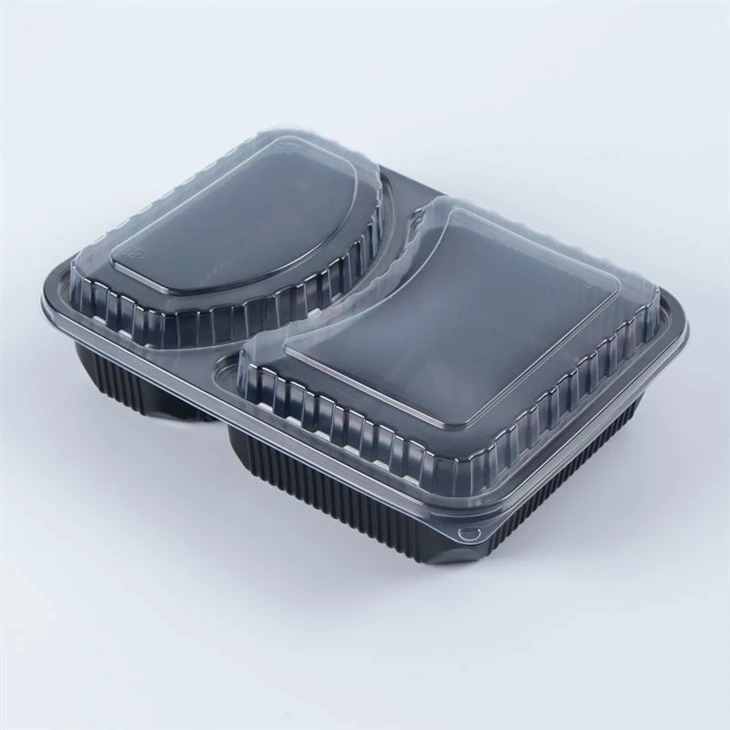 2 Compartment Plastic Takeout Bento Boxes