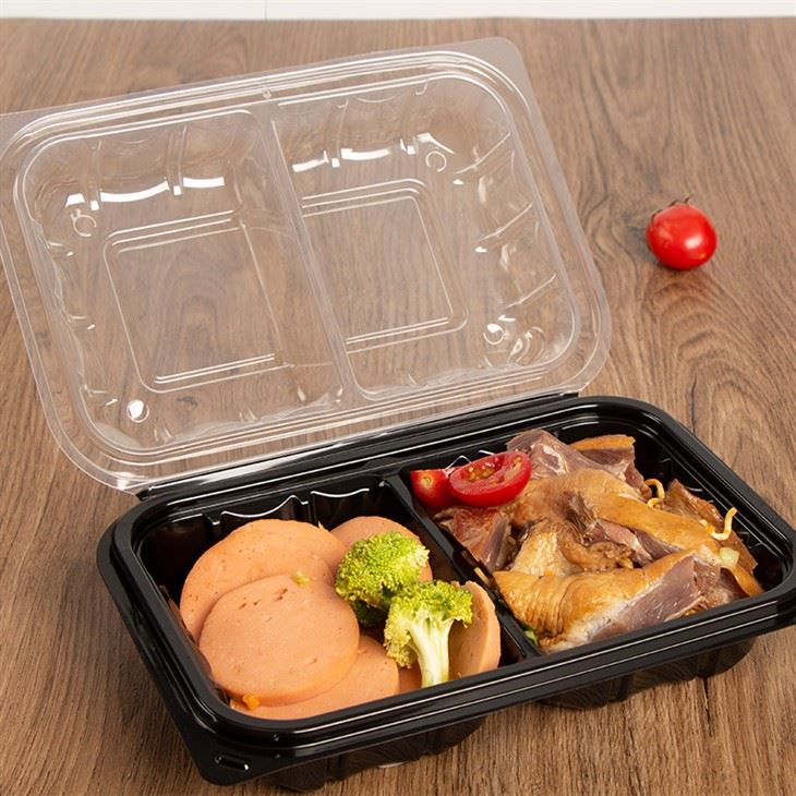 Wadah Makanan Bawa Pulang Warna Ganda 9x6''