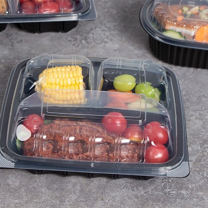 9x9'' Hinged Lid Takeout Food Container