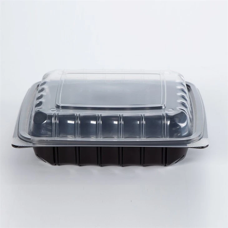 Disposable Food Storage Container