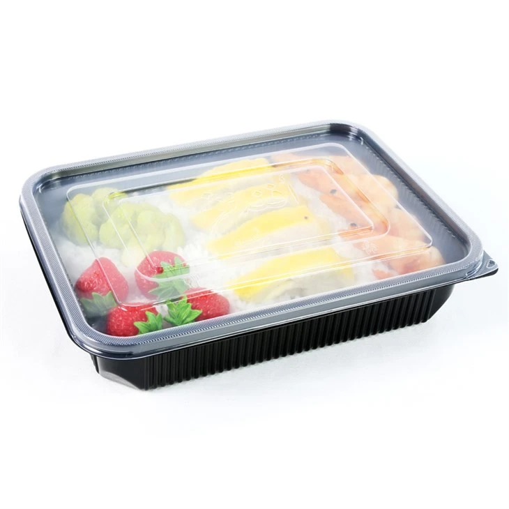 Makanan Grab-and-Go Ramah Lingkungan: Solusi Kotak Makan Siang Sekali Pakai Untuk Gaya Hidup Modern