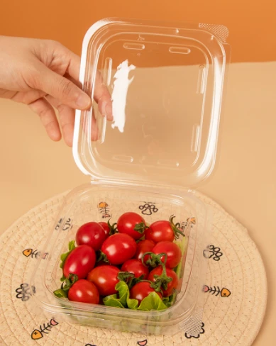 Kotak Mangkuk Salad Plastik