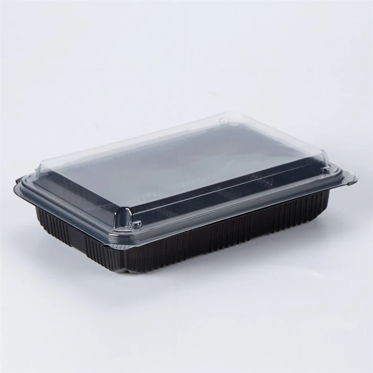 Rectangular Food Storage Container