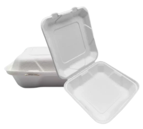 Wadah Makanan Bagasse To Go 9''