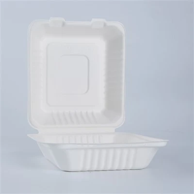 Kotak Makan Siang Biodegradable Sekali Pakai