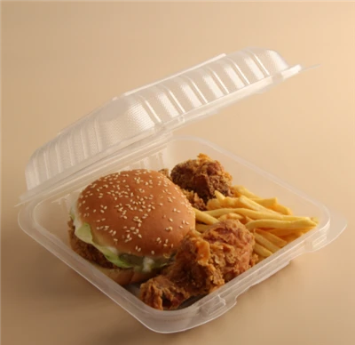 Wadah Transparan To Go Sekali Pakai