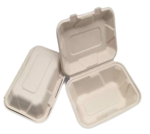 To Go Container Bagasse Sekali Pakai