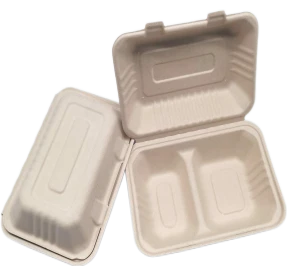 Wadah Untuk Pergi Dengan Tutup Bagasse 2kompartemen
