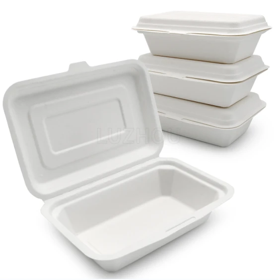 Wadah Untuk Pergi Dengan Tutup Bagasse Sekali Pakai