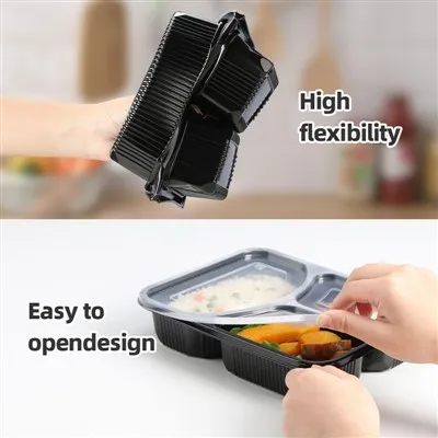 To Go Boxes With Compartments To Go Boxes With Compartments